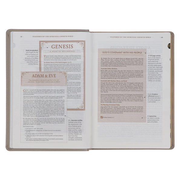 Embroidered Taupe Faux Leather Spiritual Growth Bible