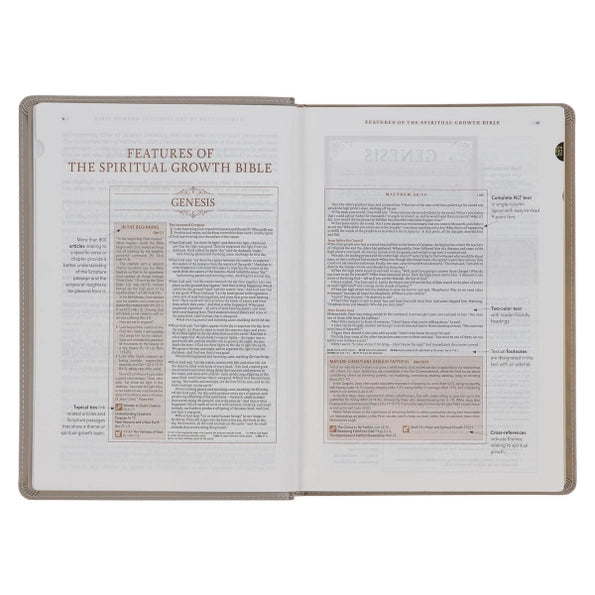 Embroidered Taupe Faux Leather Spiritual Growth Bible