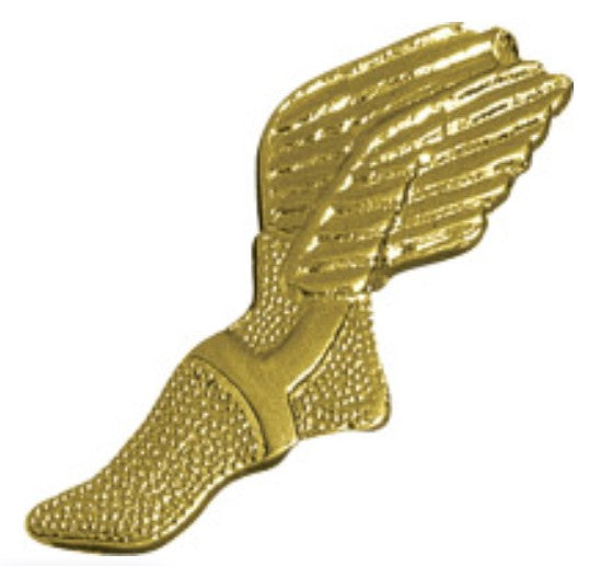 Sport Lapel Pin